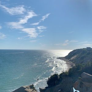 Meet your Posher, Joey